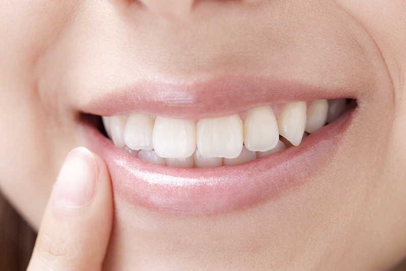 虫歯予防や入れ歯などもサポート